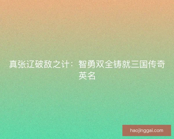 真张辽破敌之计:智勇双全铸就三国传奇英名 真张辽破敌之计:智勇双全铸就三国传奇英名