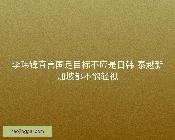 李玮锋直言国足目标不应是日韩 泰越新加坡都不能轻视