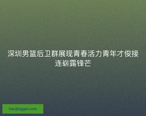 深圳男篮后卫群展现青春活力青年才俊接连崭露锋芒