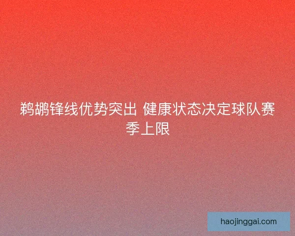 鹈鹕锋线优势突出 健康状态决定球队赛季上限 鹈鹕锋线优势突出 健康状态决定球队赛季上限