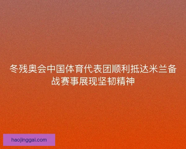 冬残奥会中国体育代表团顺利抵达米兰备战赛事展现坚韧精神 冬残奥会中国体育代表团顺利抵达米兰备战赛事展现坚韧精神